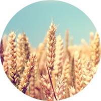 Таня Кирина