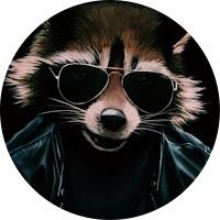 БМ